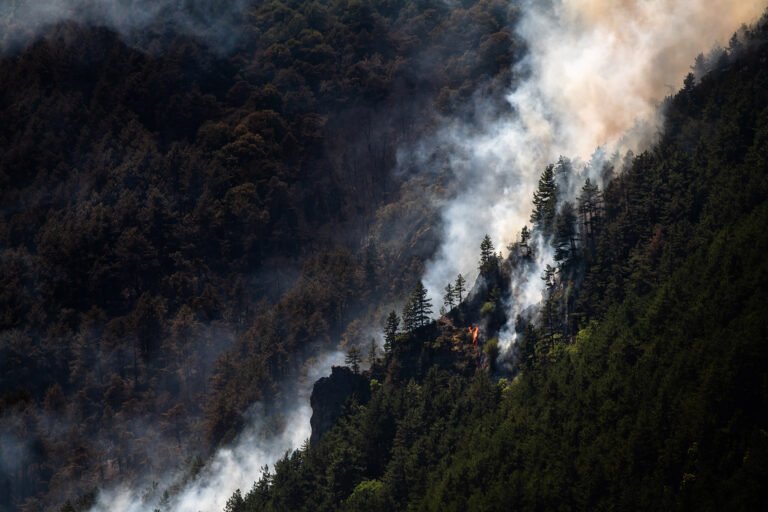 Incendie de forêt de Die (Drôme) de juillet 2026