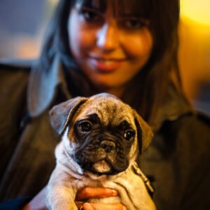 Photographie professionnelle portraits chiens chats animaux de compagnie