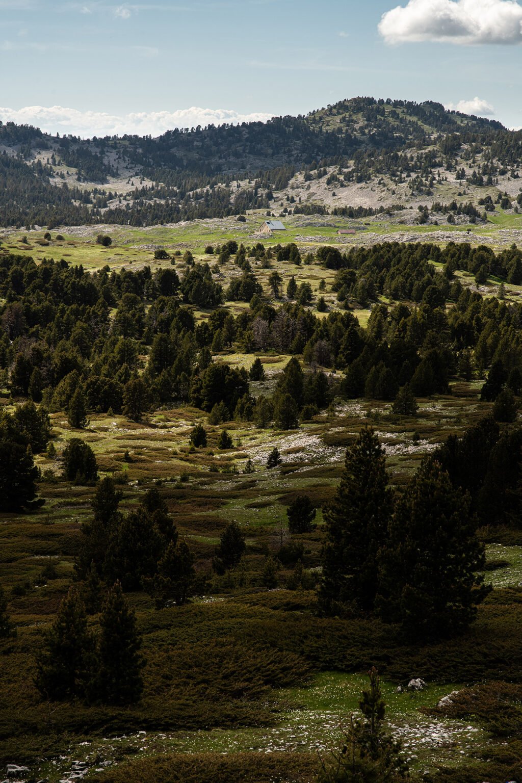 Hauts-Plateaux du Vercors