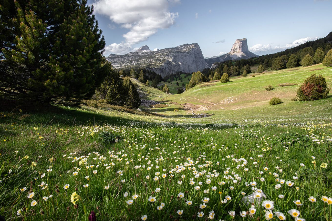 Le Mont Aiguille, montagne symbole du Vercors