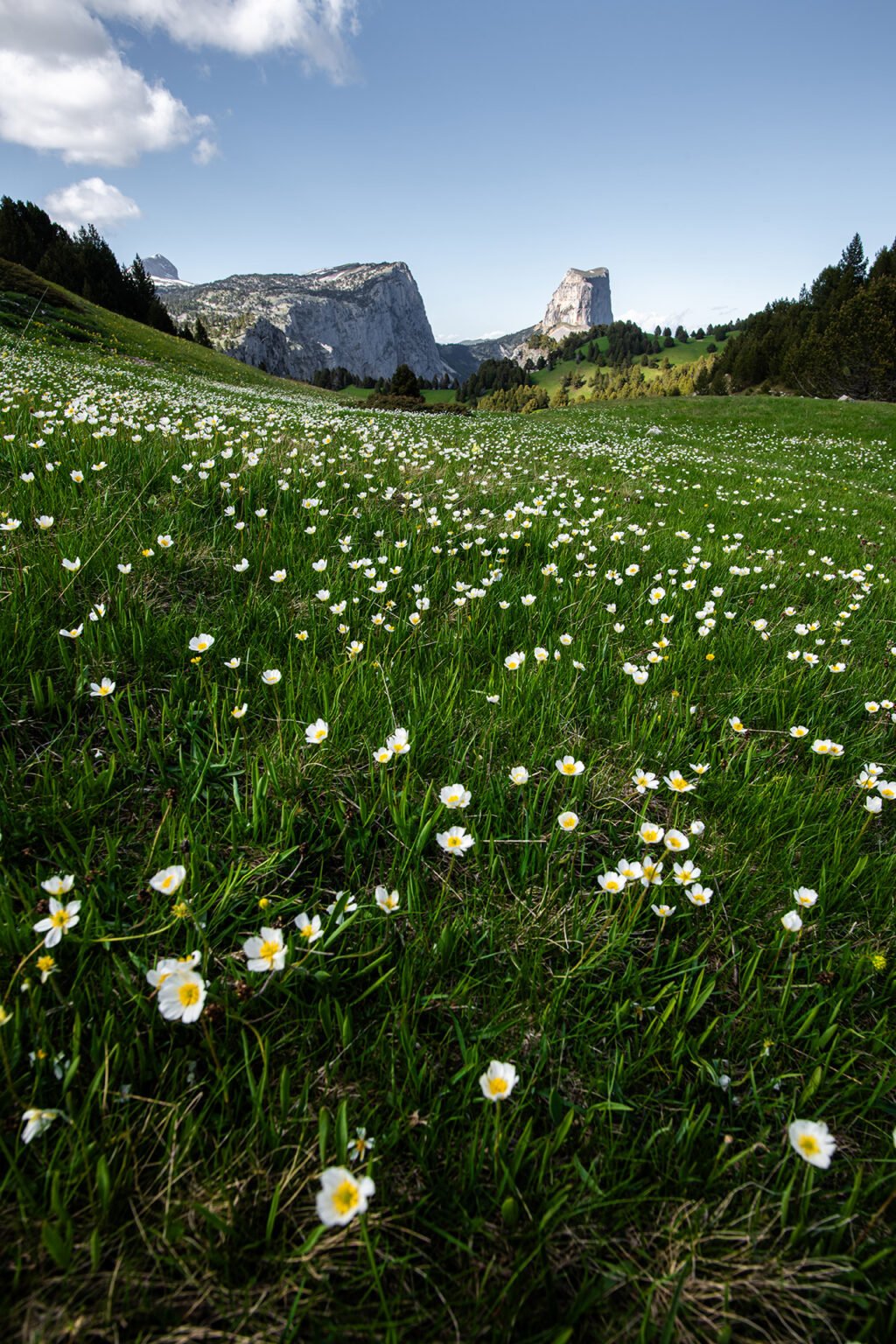 Le Mont Aiguille, montagne symbole du Vercors