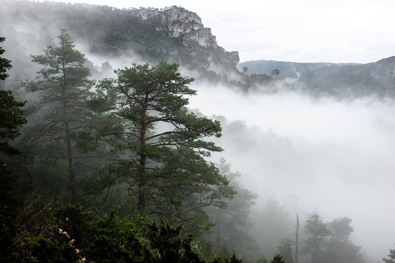 Randonnée Tarn et Causse Méjean - Gorges du Tarn