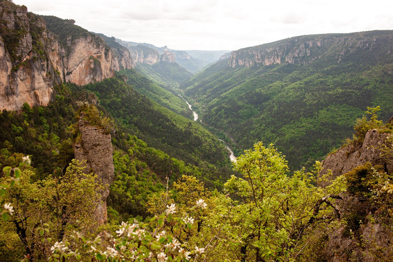 Randonnée Tarn et Causse Méjean - Gorges du Tarn
