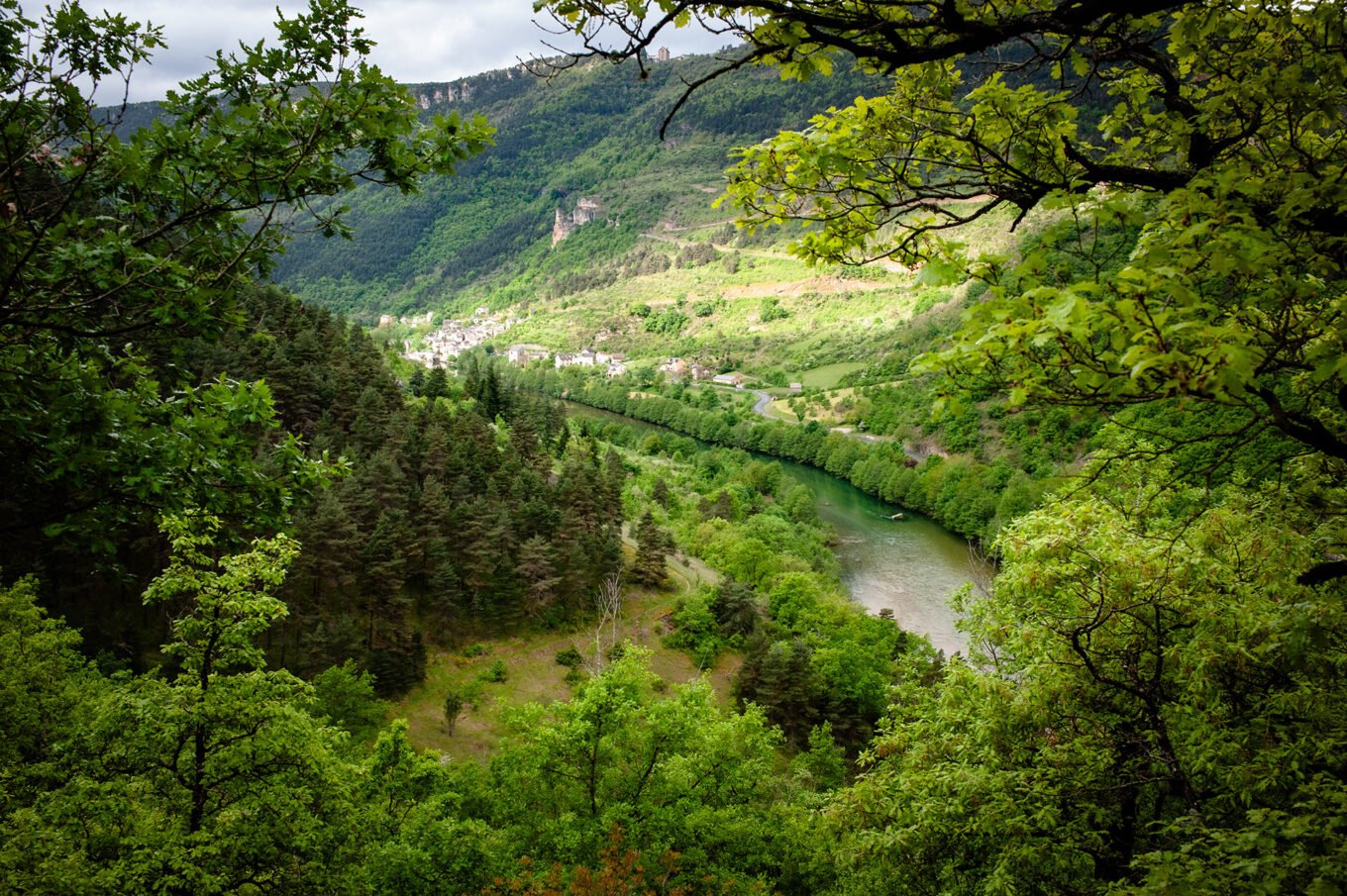 Randonnée Tarn et Causse Méjean - Gorges du Tarn