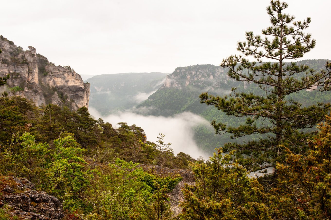 Randonnée Tarn et Causse Méjean - Gorges de la Jonte