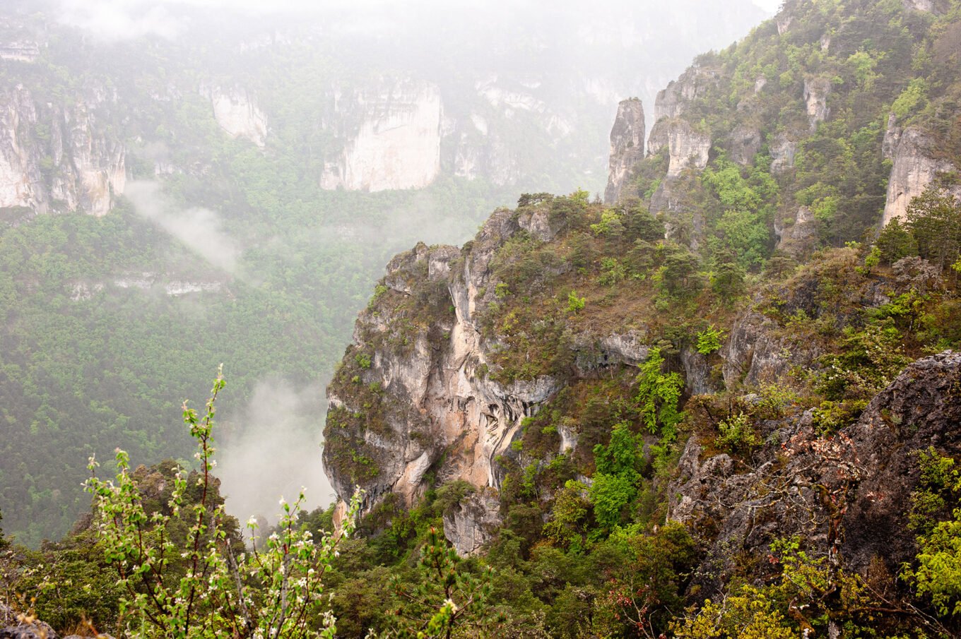 Randonnée Tarn et Causse Méjean - Gorges de la Jonte