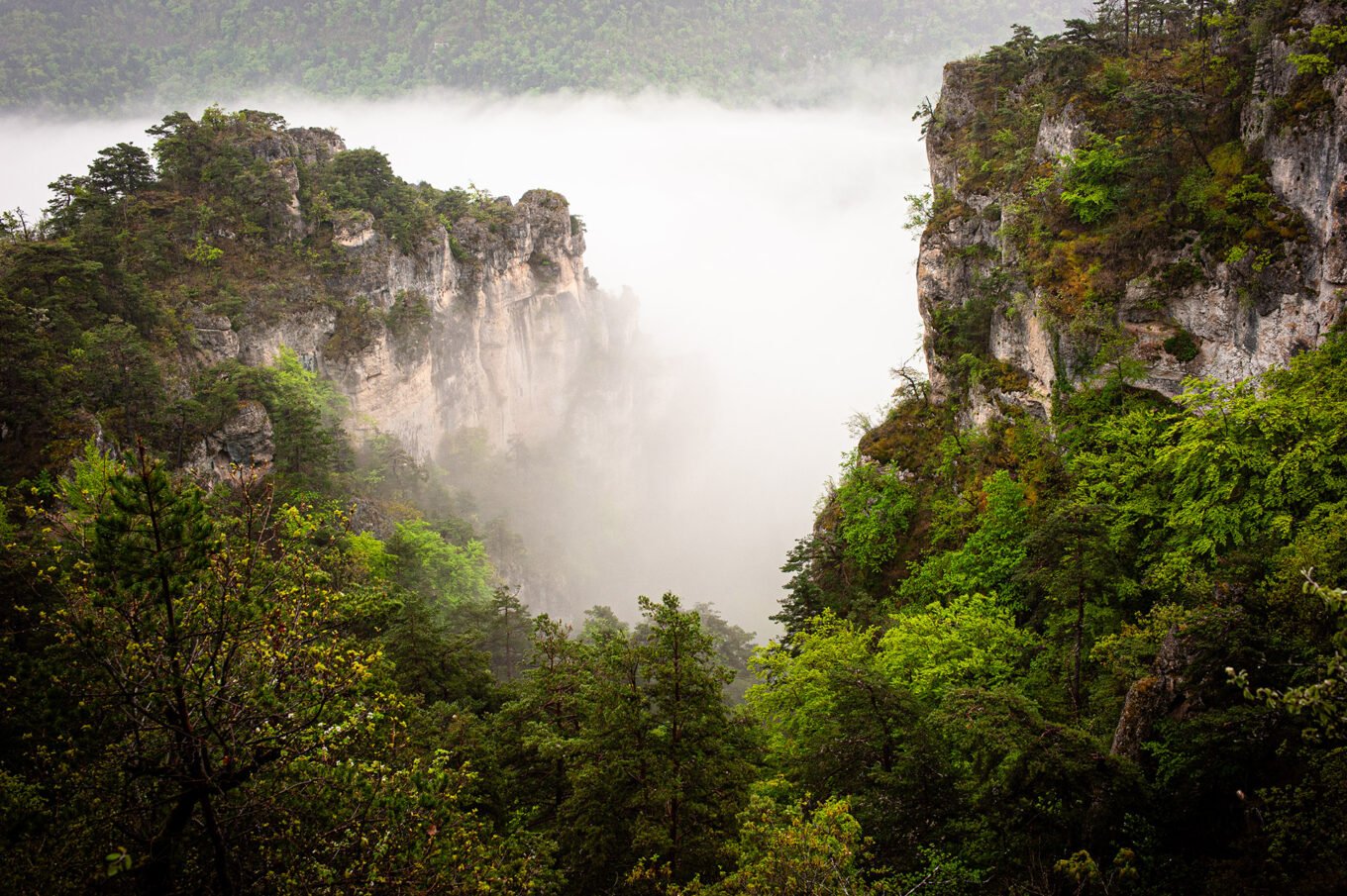 Randonnée Tarn et Causse Méjean - Gorges de la Jonte