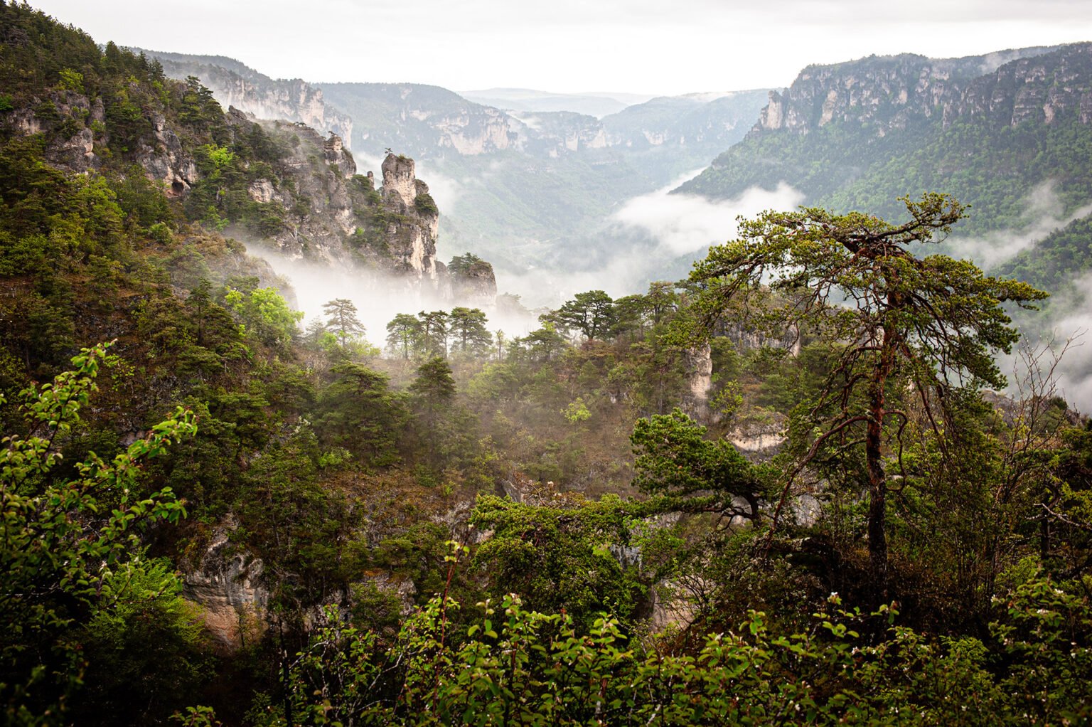 Randonnée Tarn et Causse Méjean - Gorges de la Jonte