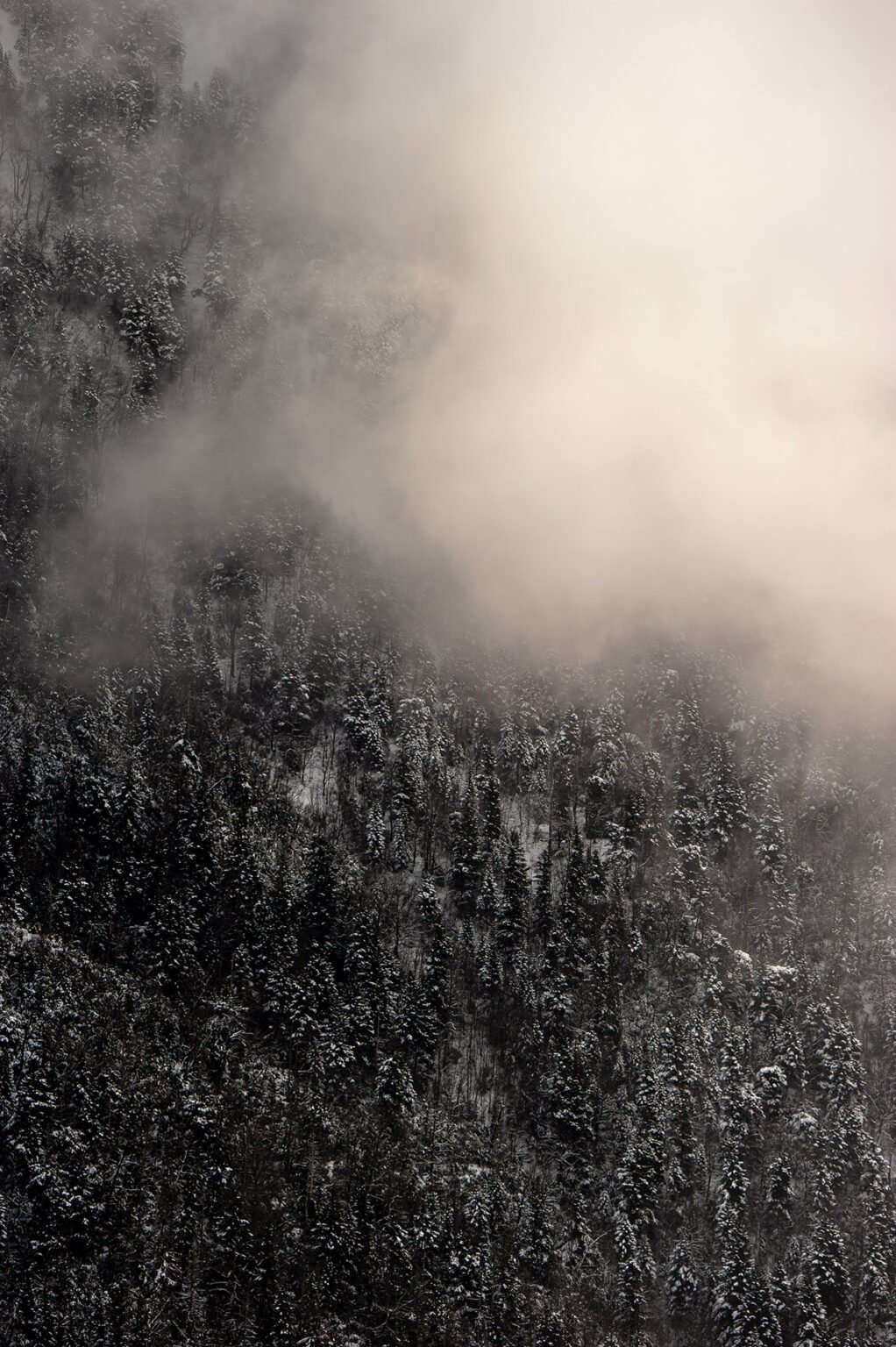 Photographe paysage falaises du Vercors en hiver
