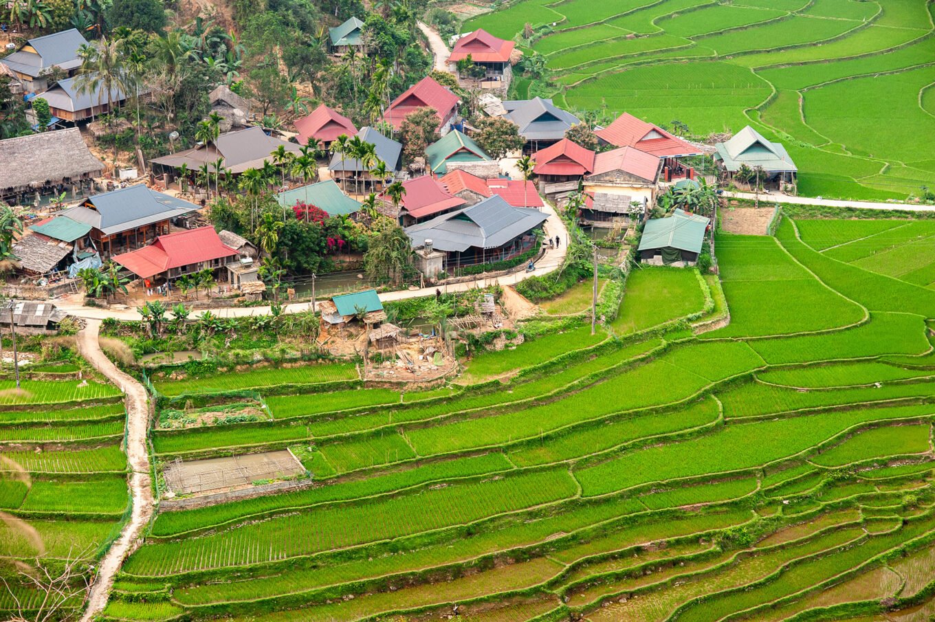 Photographie de voyage - Le Vietnam des campagnes - Les rizières de Pu Luong