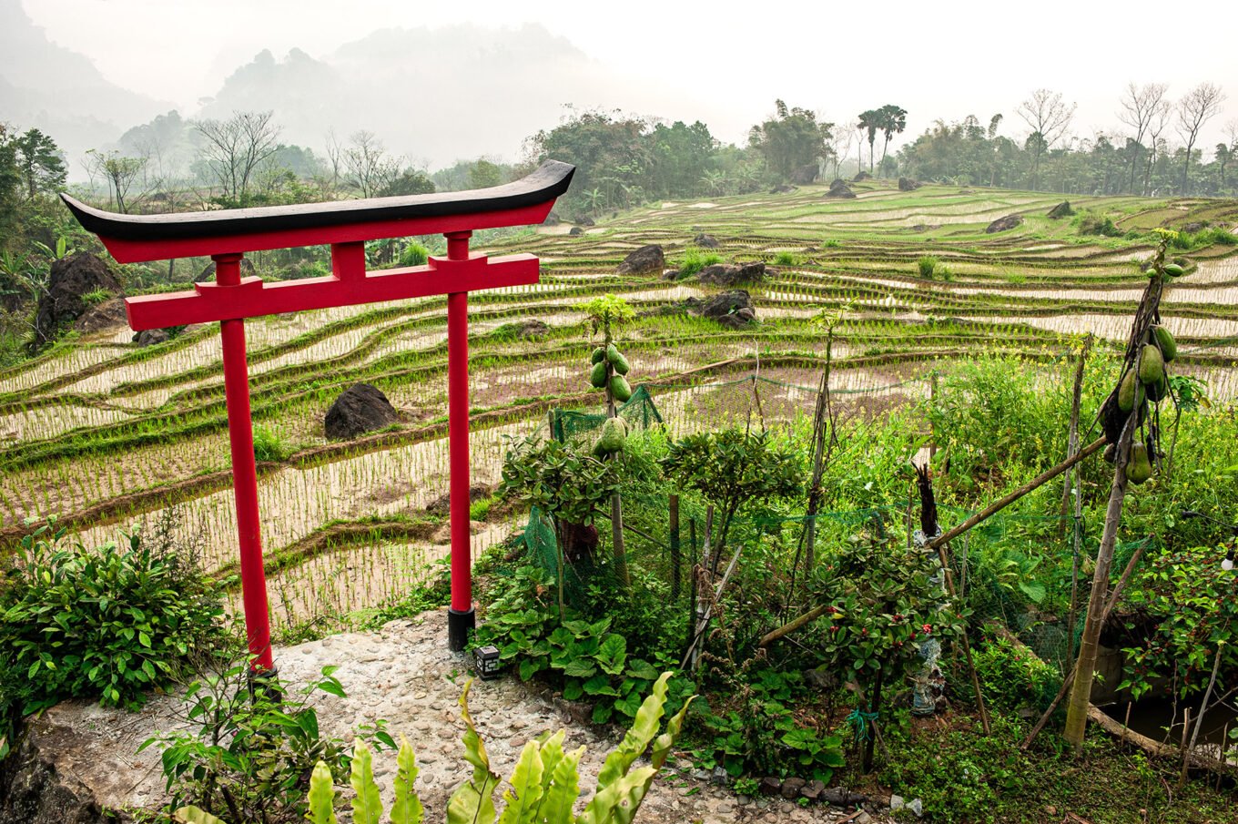 Photographie de voyage - Le Vietnam des campagnes - Les rizières de Pu Luong