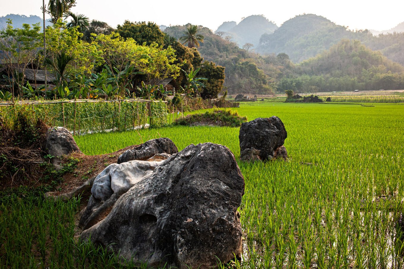 Photographie de voyage - Le Vietnam des campagnes - Les rizières de Mai Chau