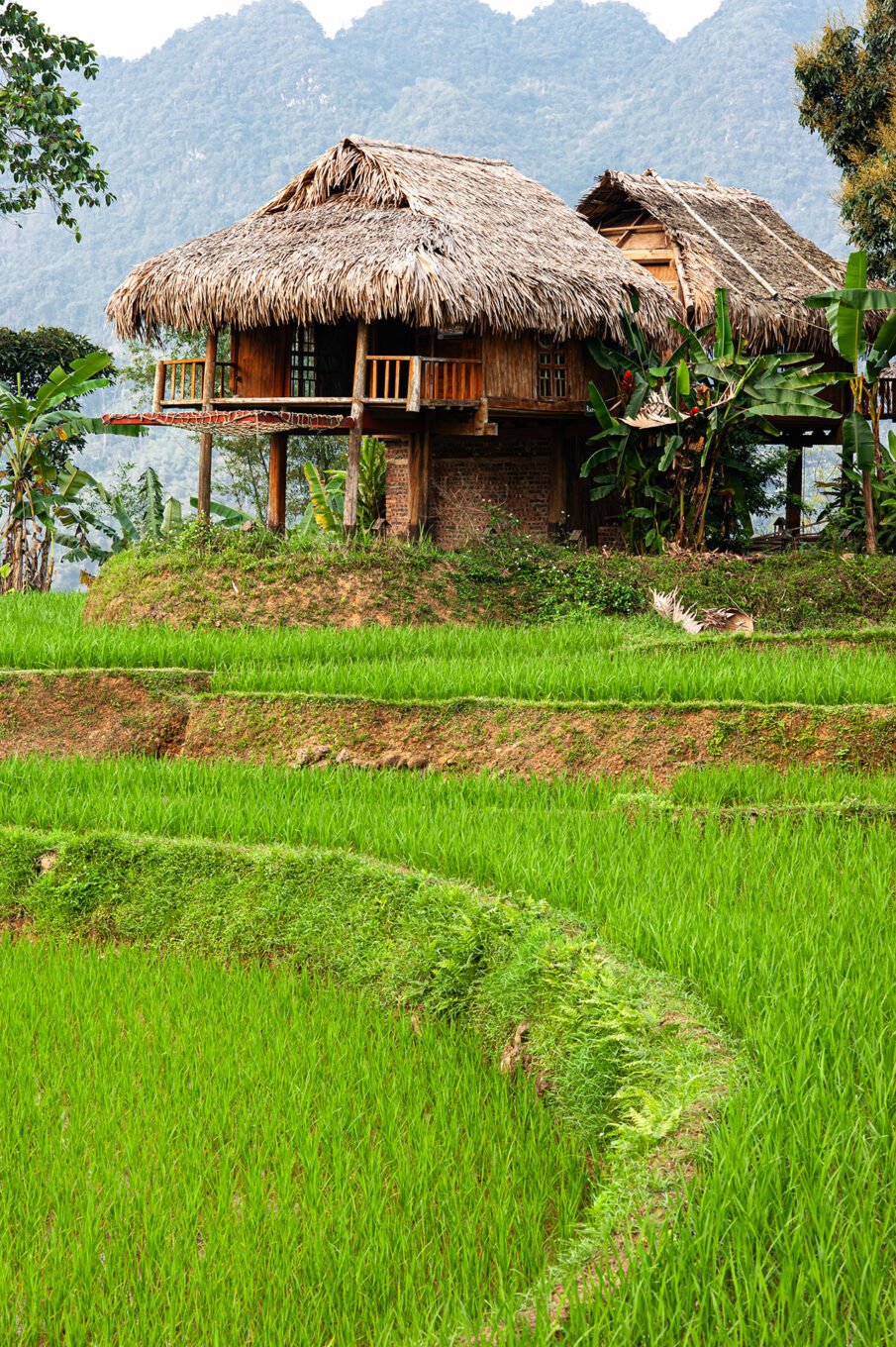 Photographie de voyage - Le Vietnam des campagnes - Les rizières de Pu Luong