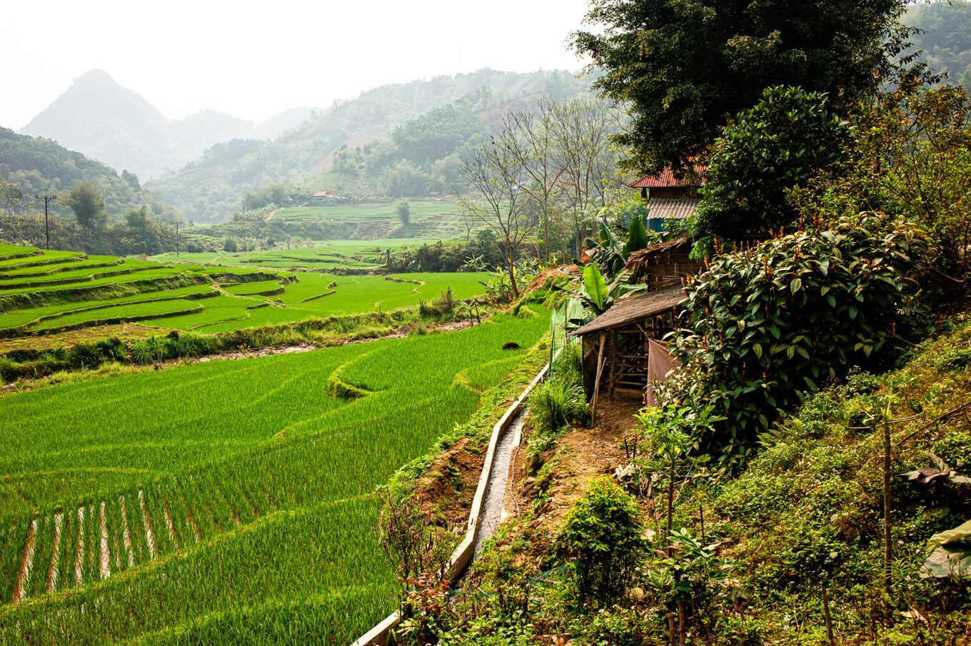 Photographie de voyage - Le Vietnam des campagnes - Les rizières de Pu Luong