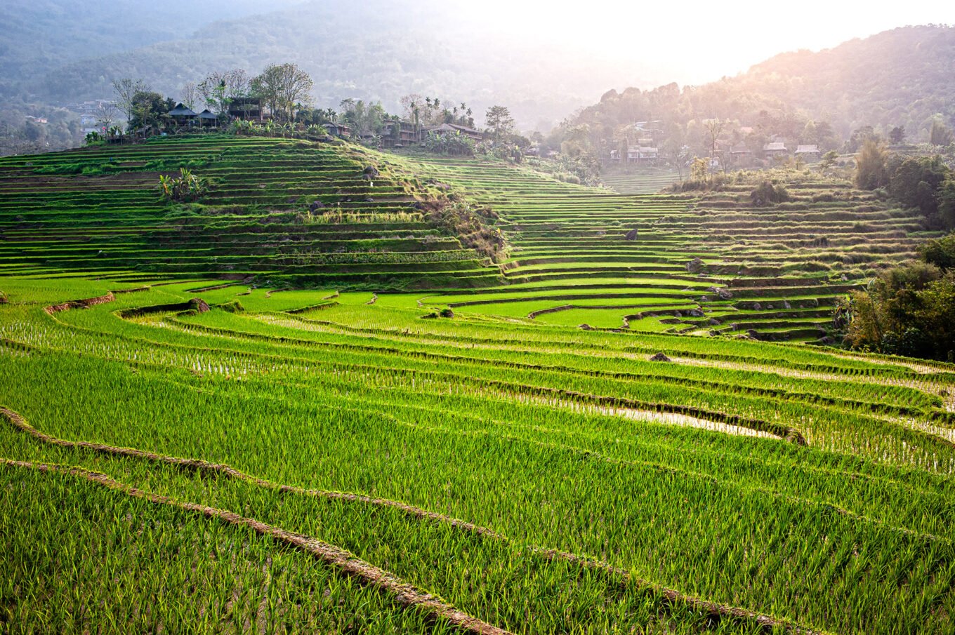 Photographie de voyage - Le Vietnam des campagnes - Les rizières de Pu Luong
