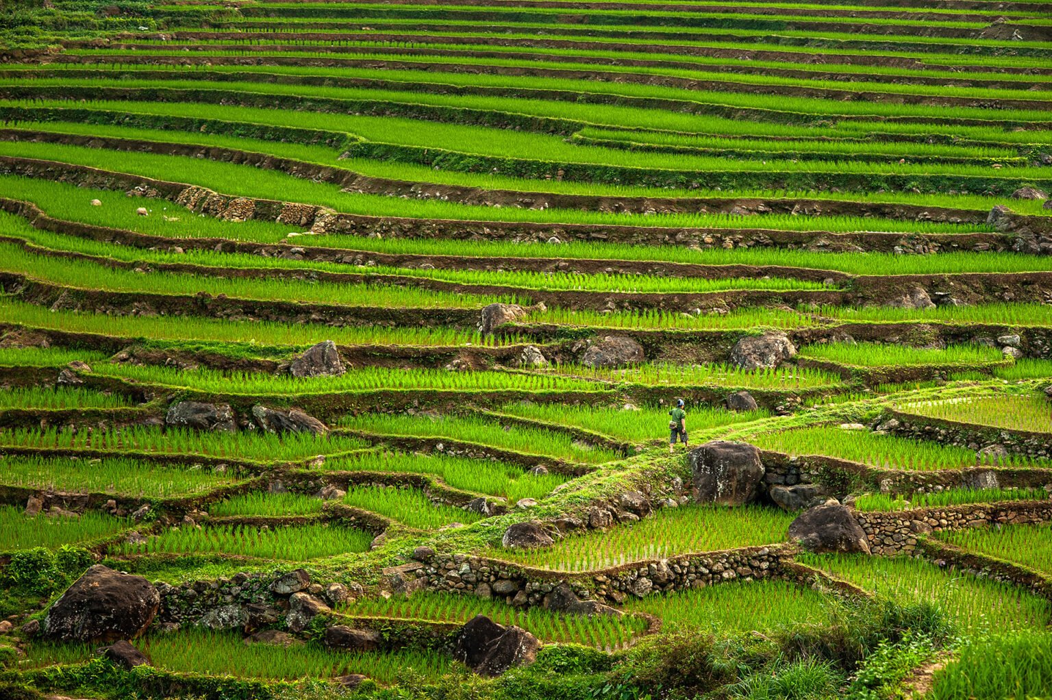 Photographie de voyage - Le Vietnam des campagnes - Les rizières de Pu Luong