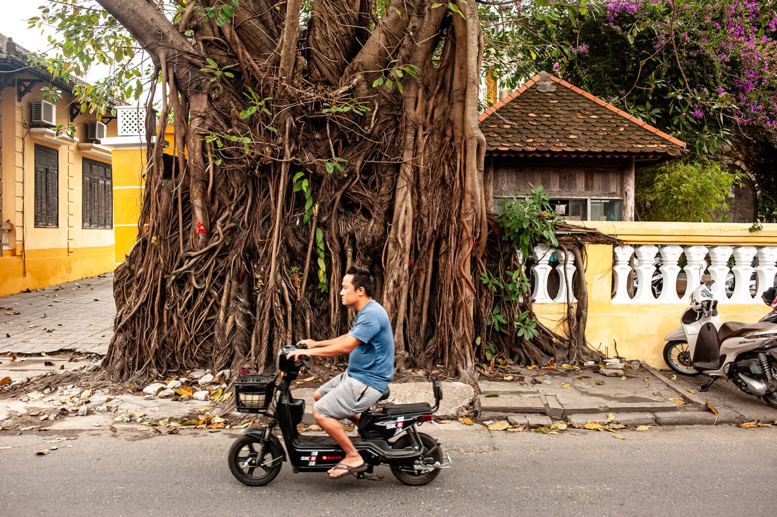 Voyage Vietnam - Photographie de rue à Hoi An