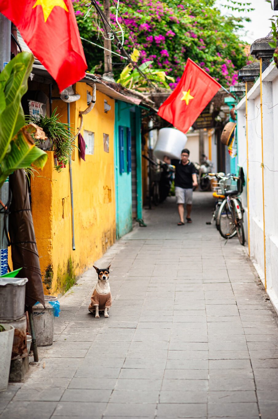 Voyage Vietnam - Photographie de rue à Hoi An