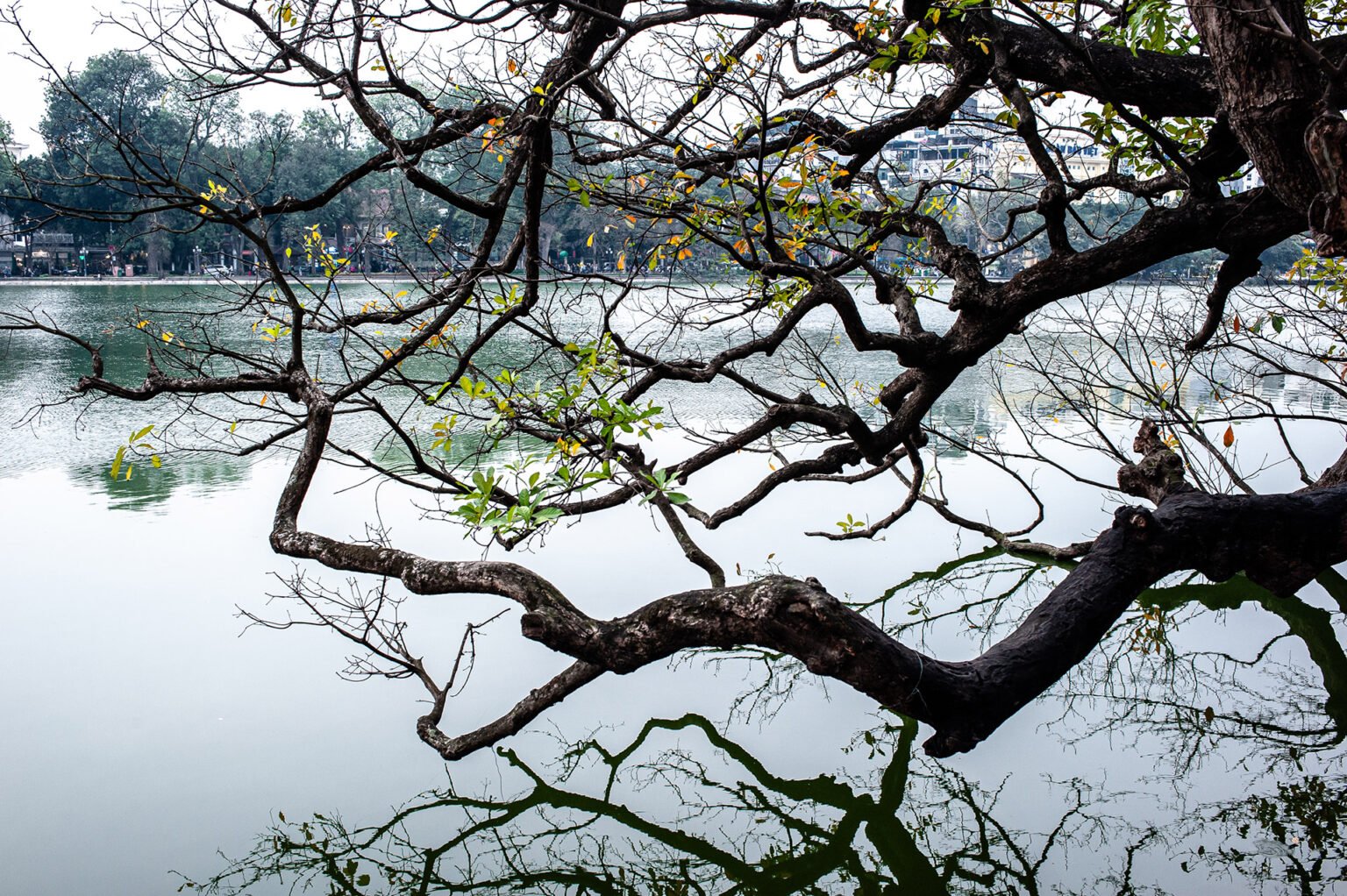 Voyage Vietnam - Photographie de rue à Hanoi