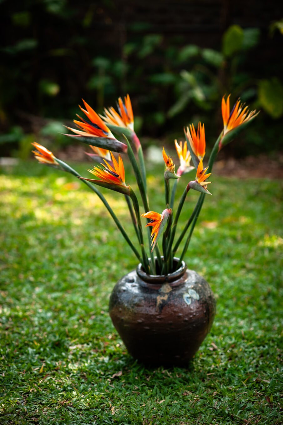 Voyage Vietnam - Jardins