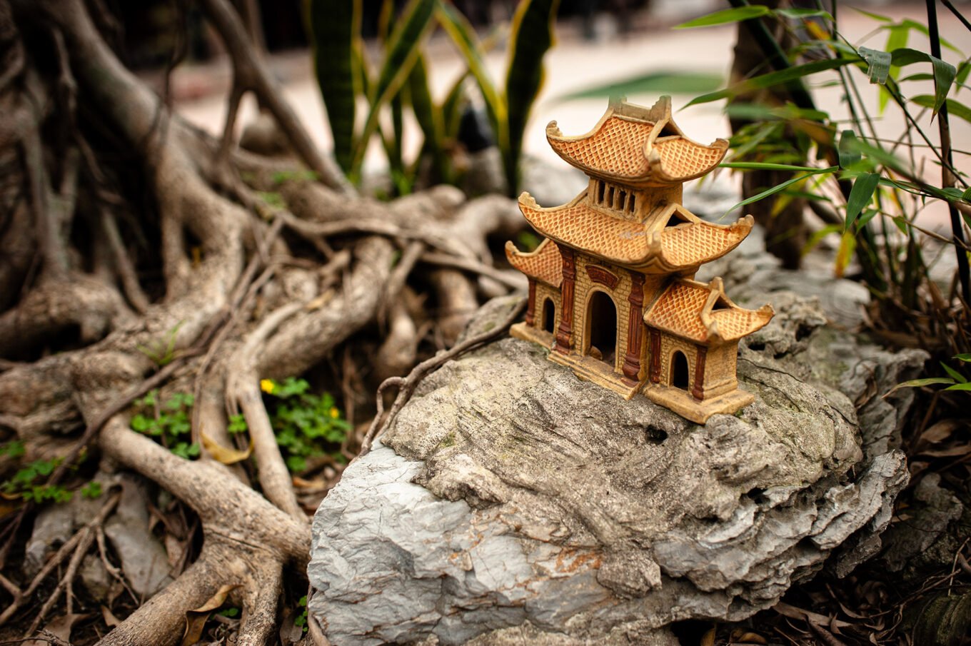 Voyage Vietnam - Jardins