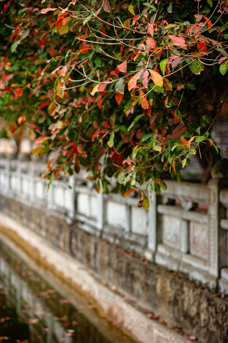 Voyage Vietnam - Jardins