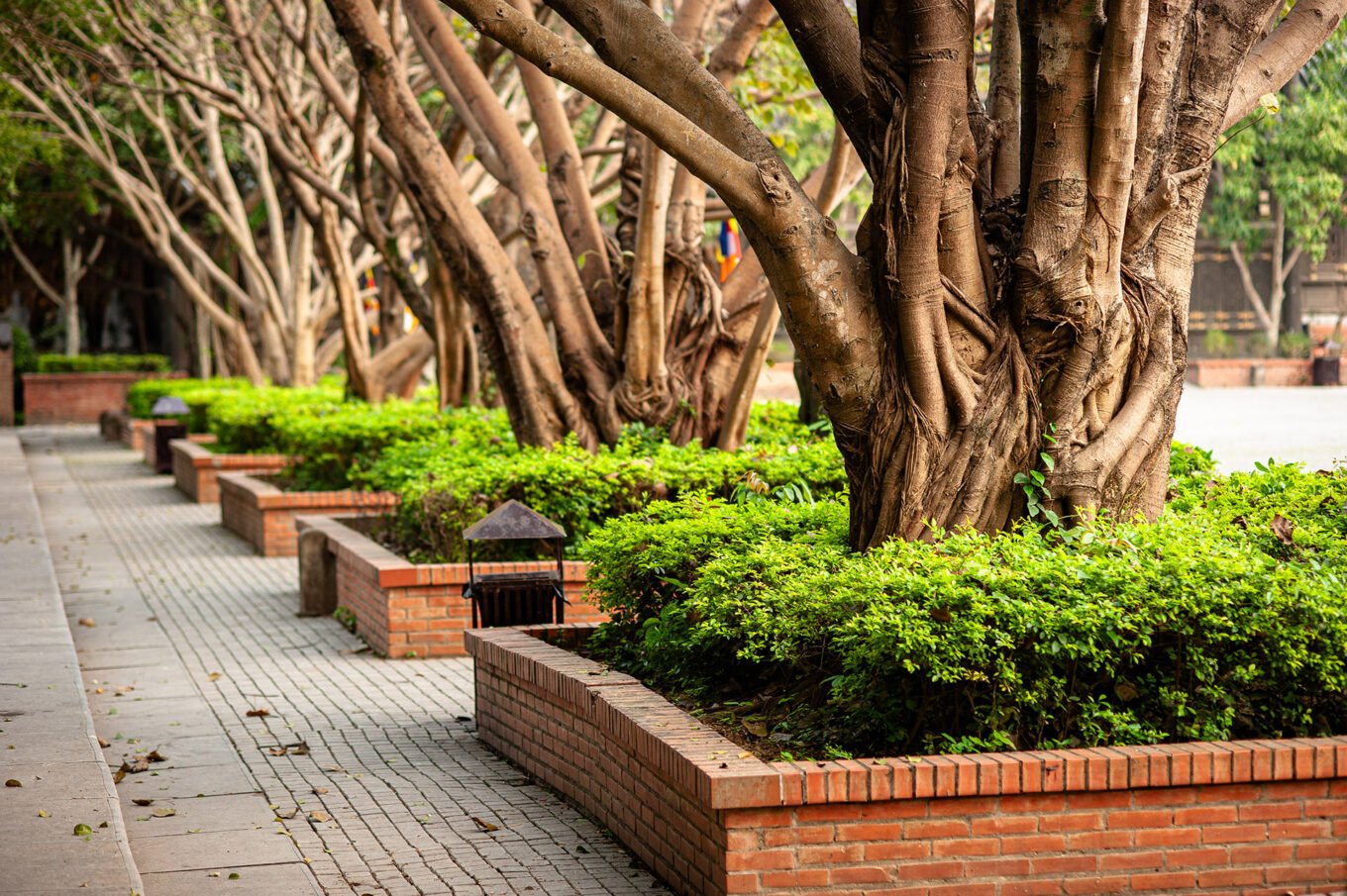Voyage Vietnam - Jardins