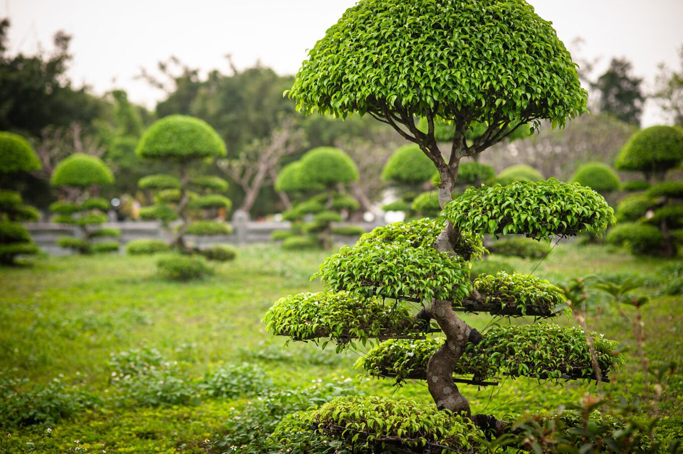 Voyage Vietnam - Jardins