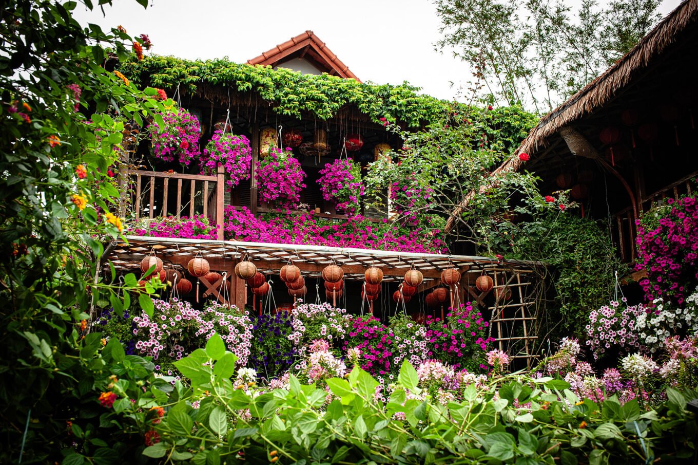 Voyage Vietnam - Jardins