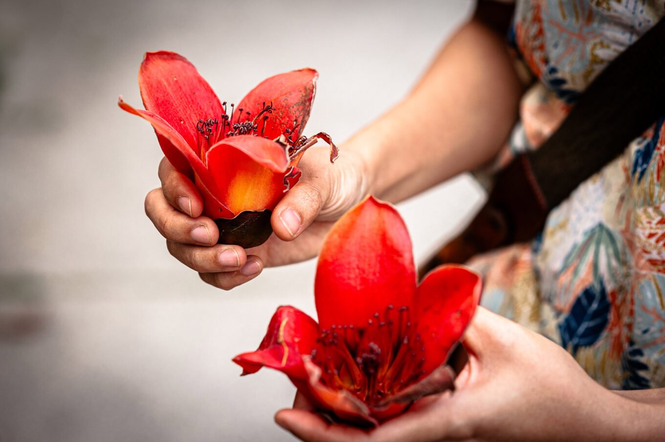 Voyage Vietnam - Jardins
