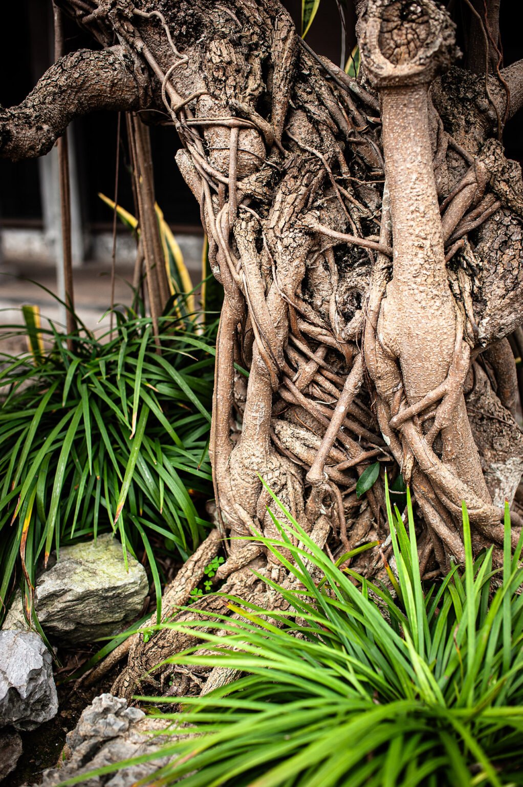 Voyage Vietnam - Jardins