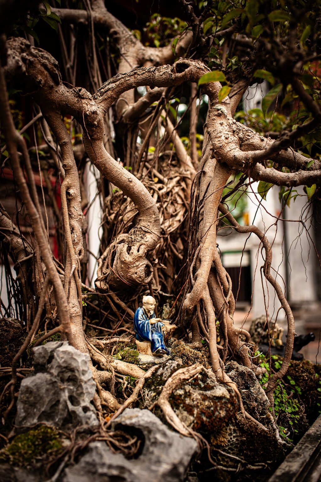 Voyage Vietnam - Jardins