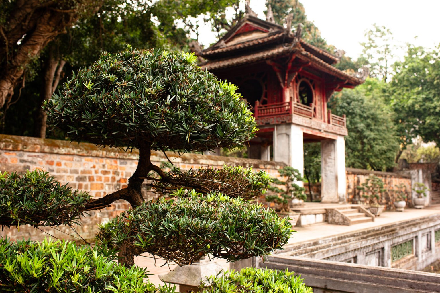 Voyage Vietnam - Jardins