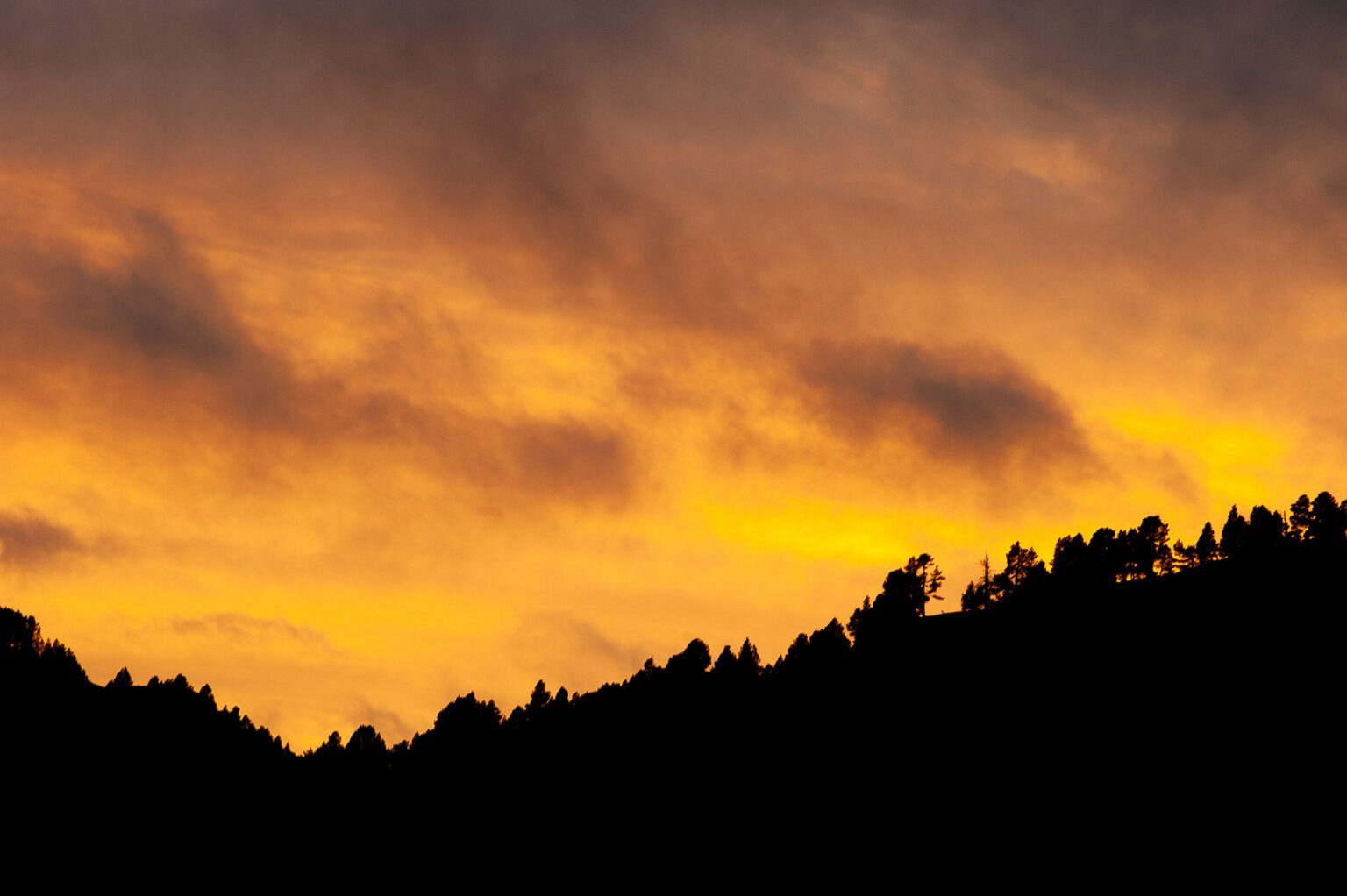 Coucher de soleil sur les cimes boisées du Vercors