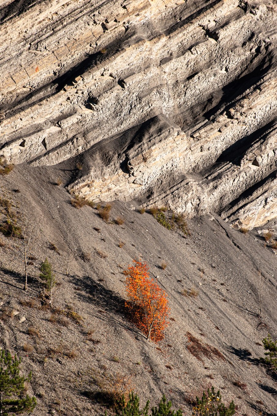 falaises du Glandasse arbres multicolores automne Vercors