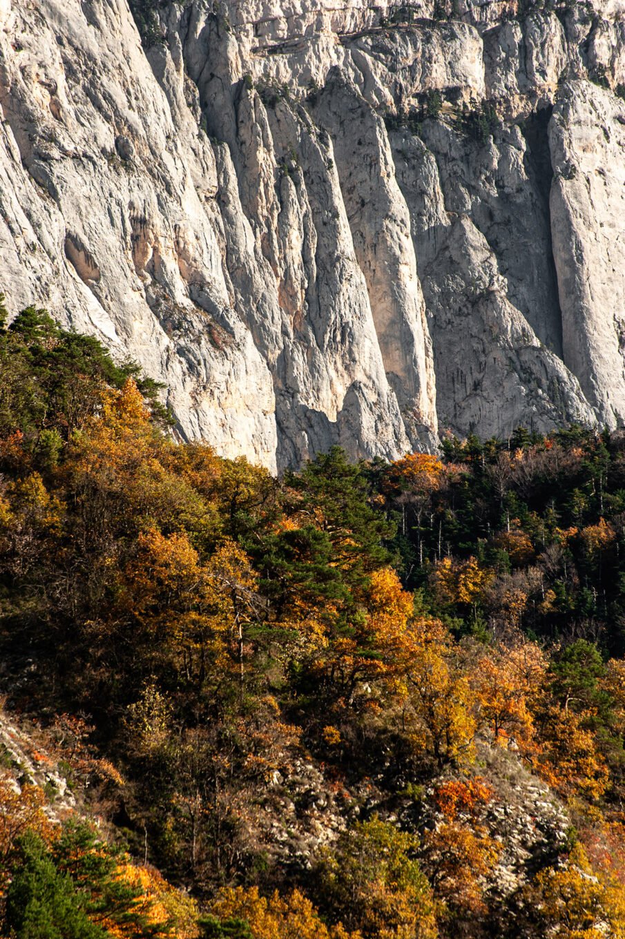falaises du Glandasse arbres multicolores automne Vercors
