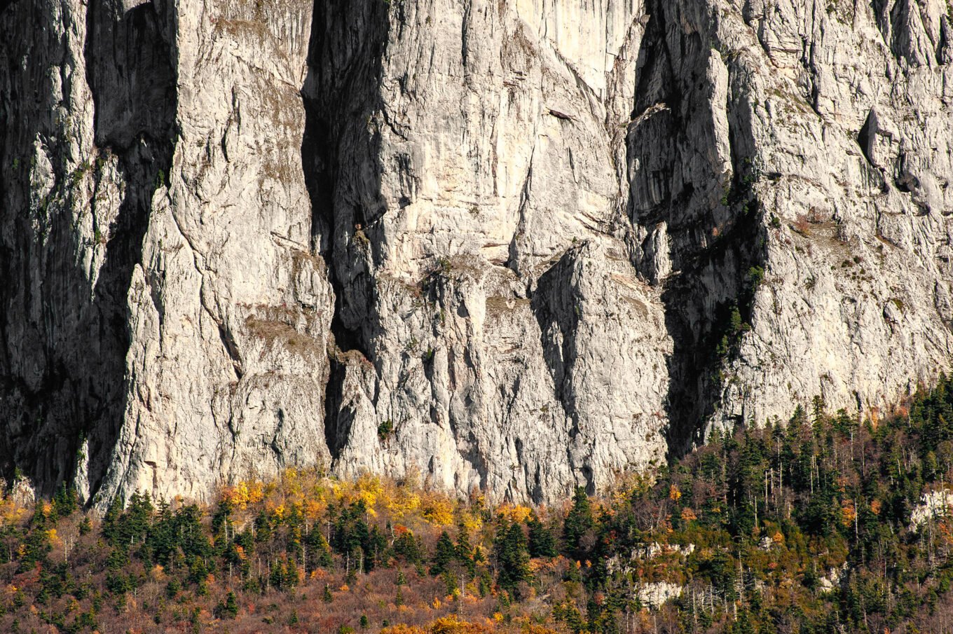 falaises du Glandasse arbres multicolores automne Vercors