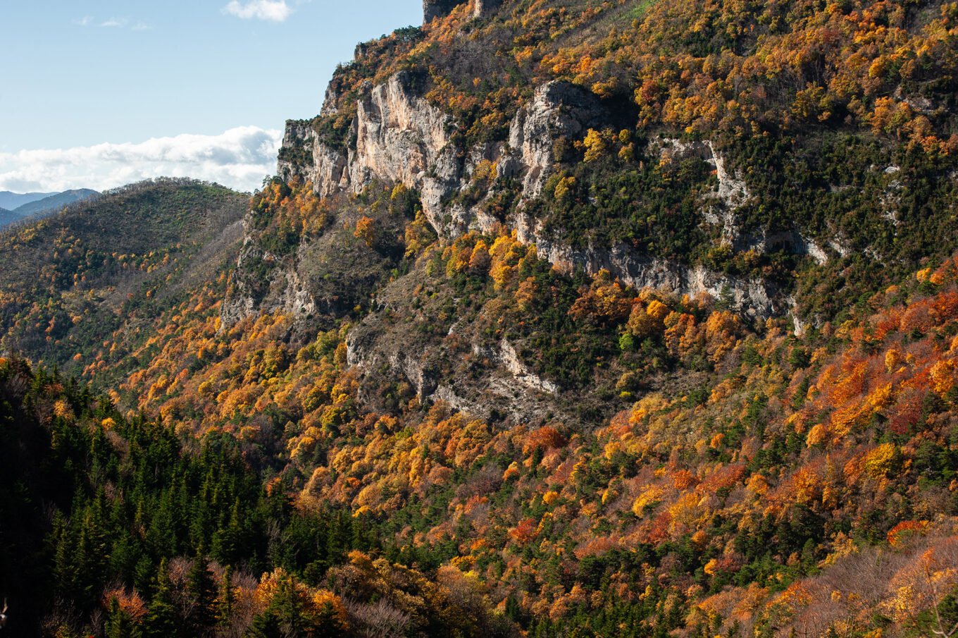 arbres flamboyants automnal pente ravin des Charoses Vercors