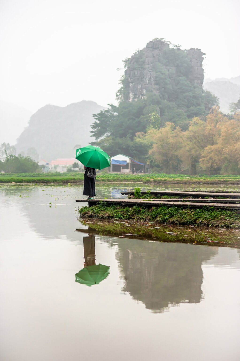 Voyage Vietnam - Ninh Binh, la baie d'Ha Long des terres - Hang Mua