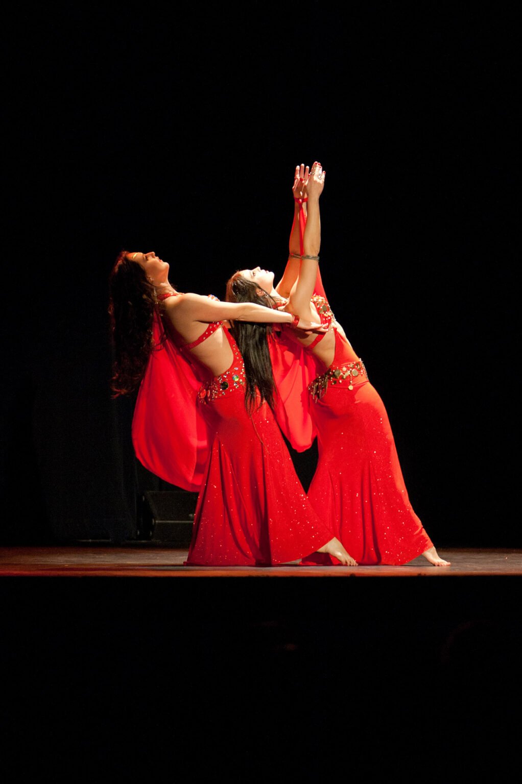 Photographie professionnelle concerts et spectacles - Fat Chance Belly Dance