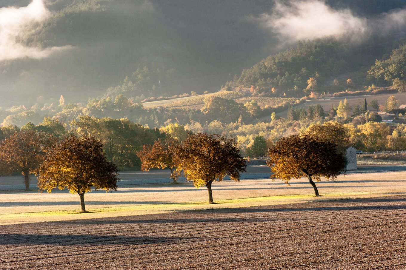 Photographe professionnel montagne nature, Automne dans le Diois