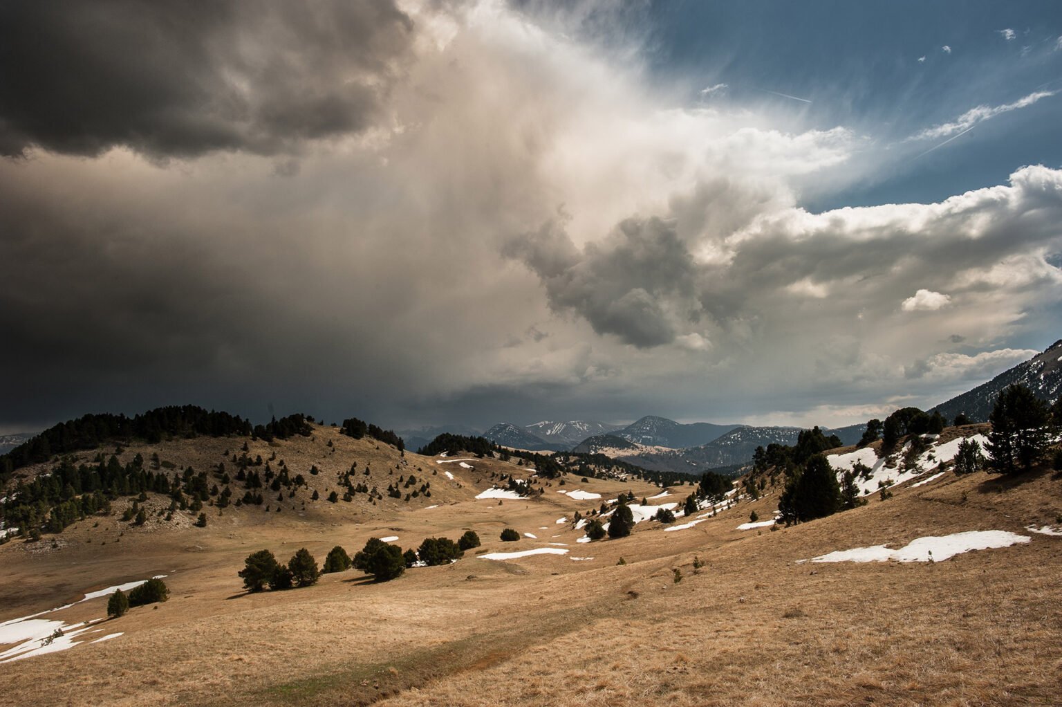 Photographe professionnel montagne nature, Hauts Plateaux du Vercors