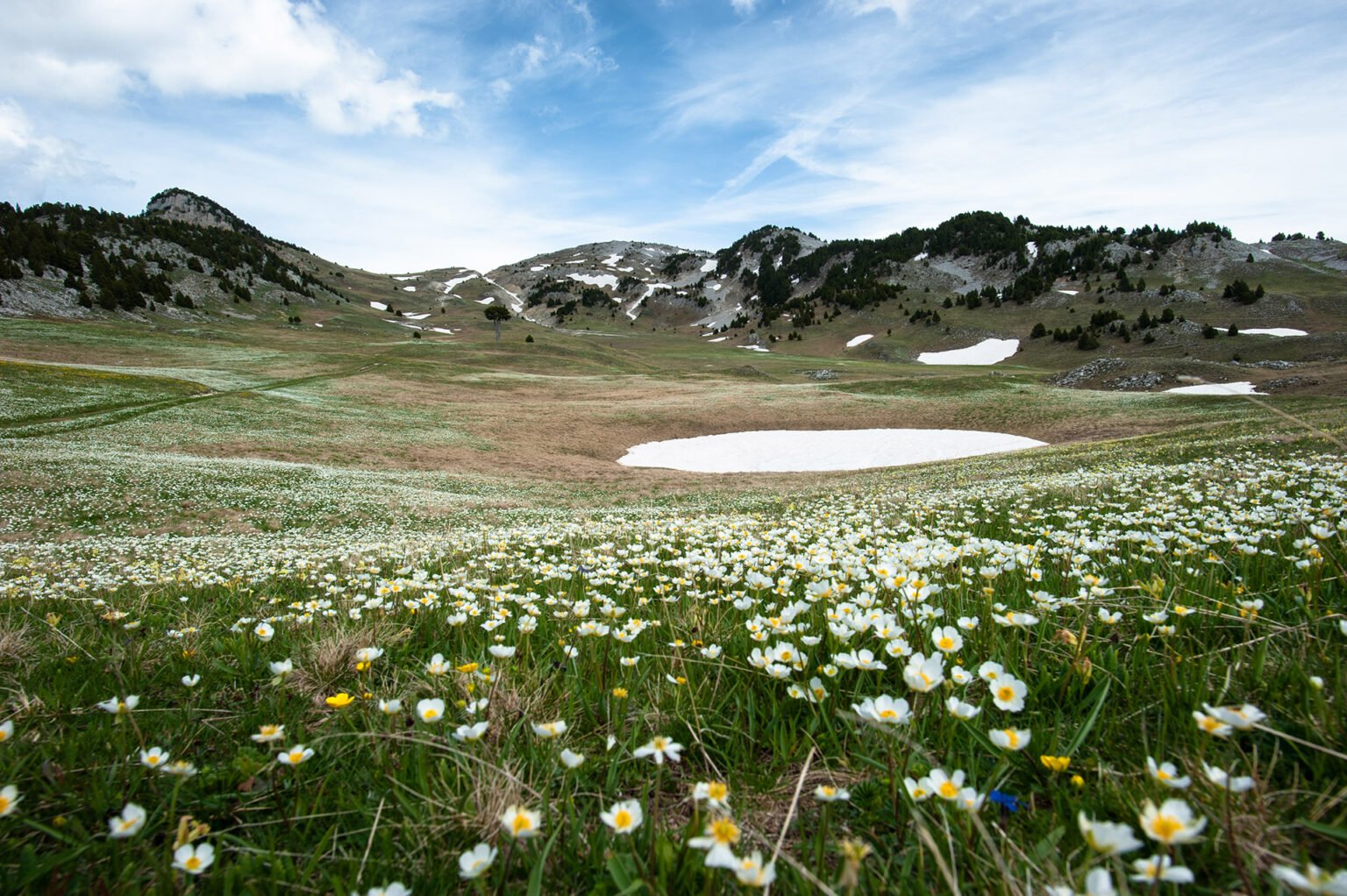 Photographe professionnel montagne nature, Hauts Plateaux du Vercors