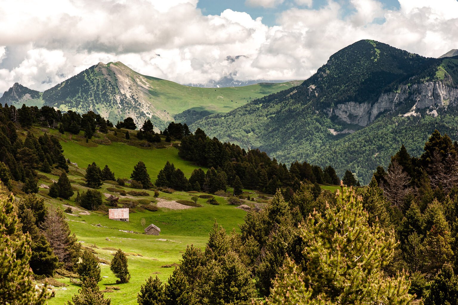 Photographe professionnel montagne nature, Mont Barral et Vercors