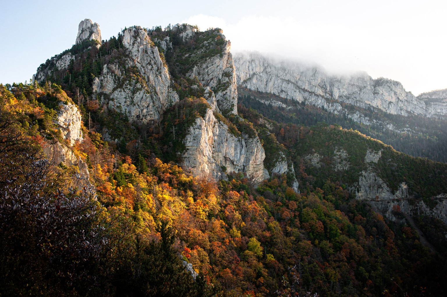 Photographe professionnel montagne nature, forêt d'automne, Vercors Diois