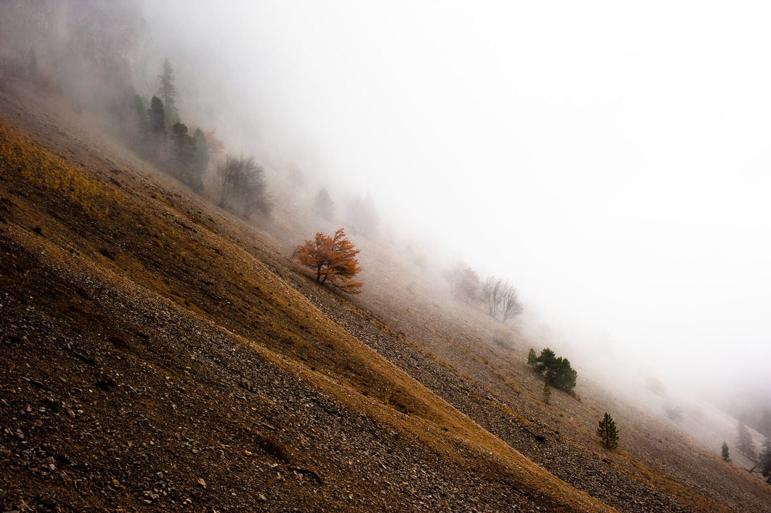 Photographe professionnel montagne nature, Vercors Diois en automne