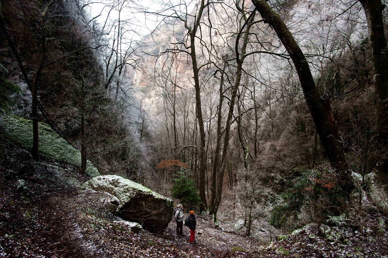 Photographie professionnelle randonnée montagne, Forêt de Saou, Drôme