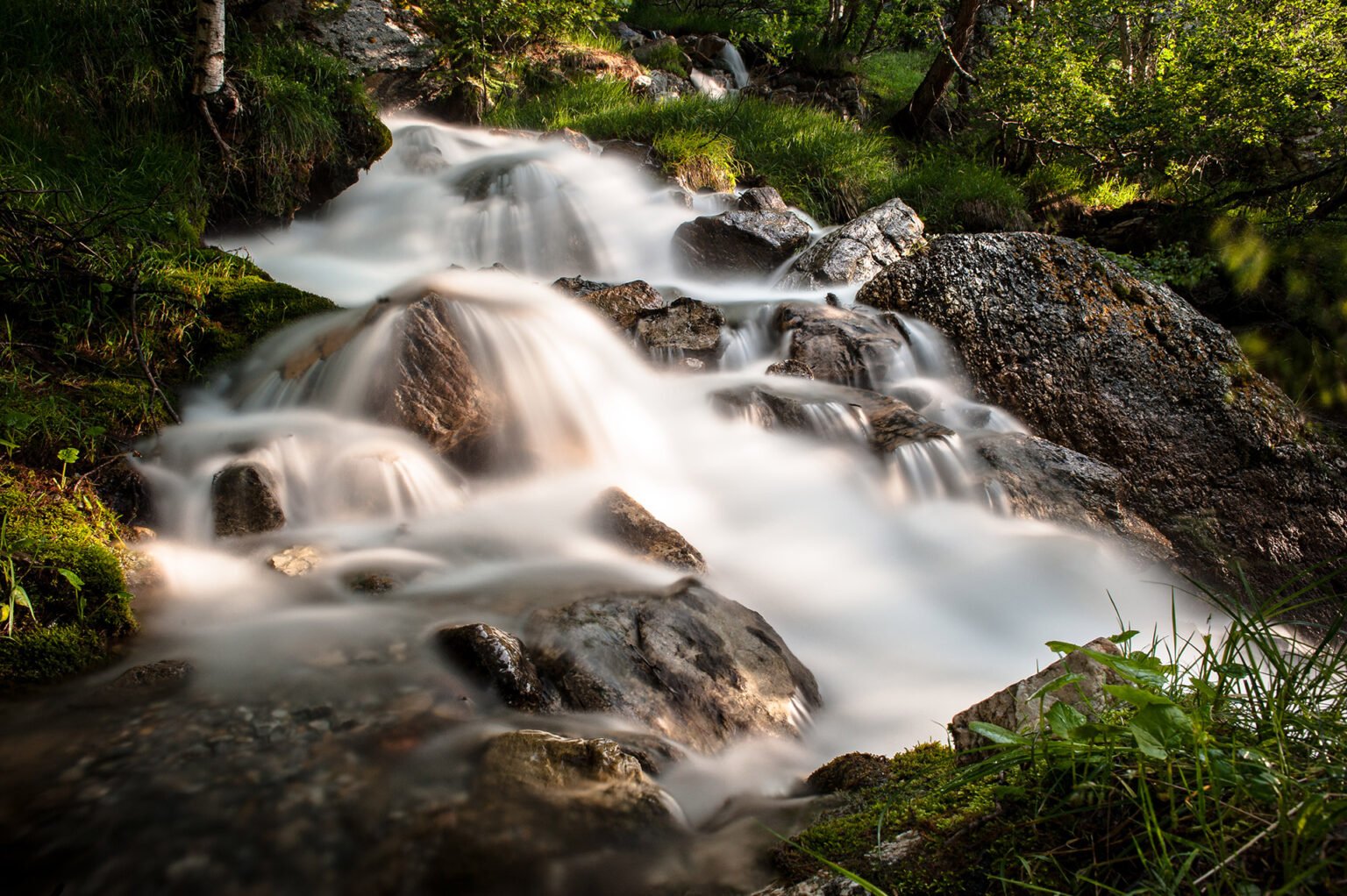 Photographe professionnel montagne nature, Vallon des Houerts, Haute Ubaye