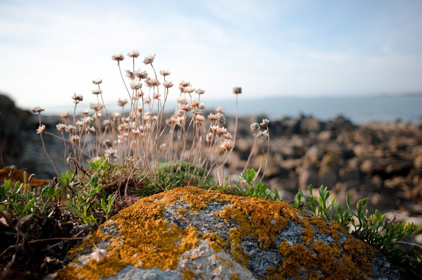 Randonnée Bretagne Finistère et Ouessant