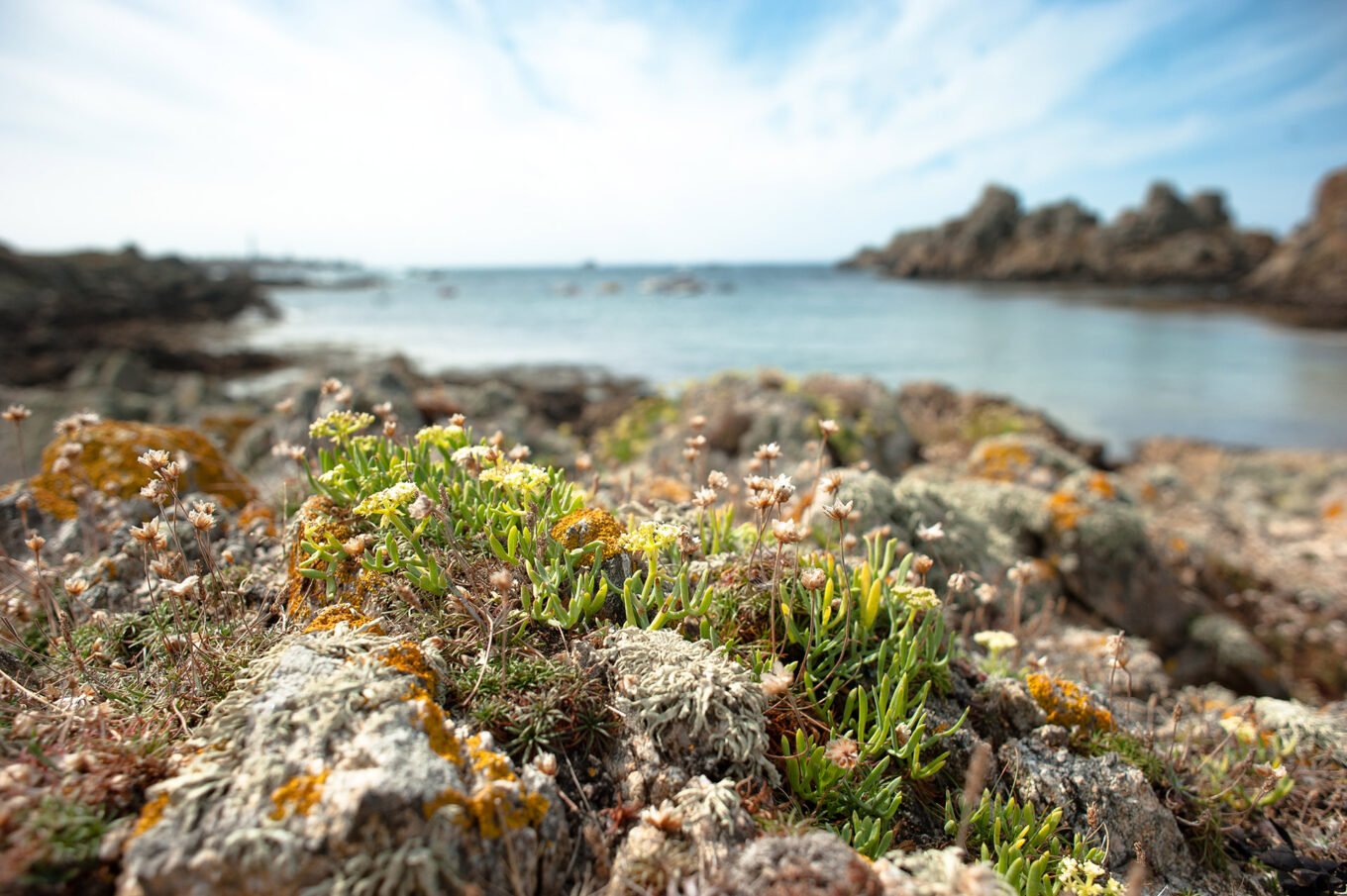 Randonnée Bretagne Finistère et Ouessant